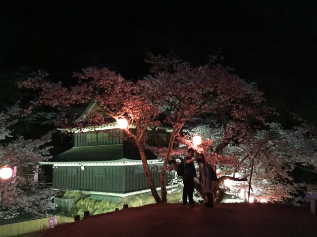今年こそ岩殿山の夜桜見物！